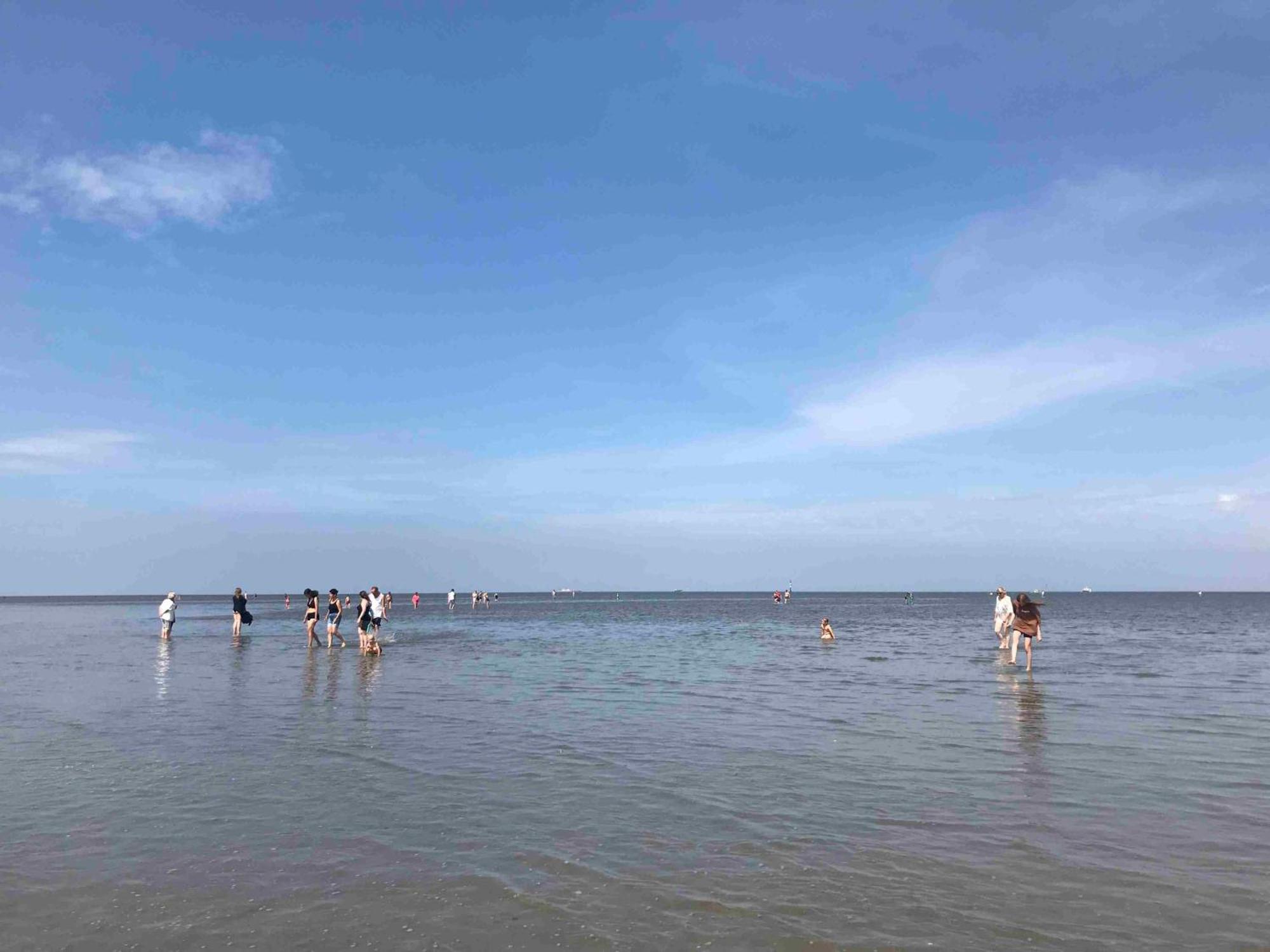 Fewo Grünstrand Cuxhaven Exterior foto